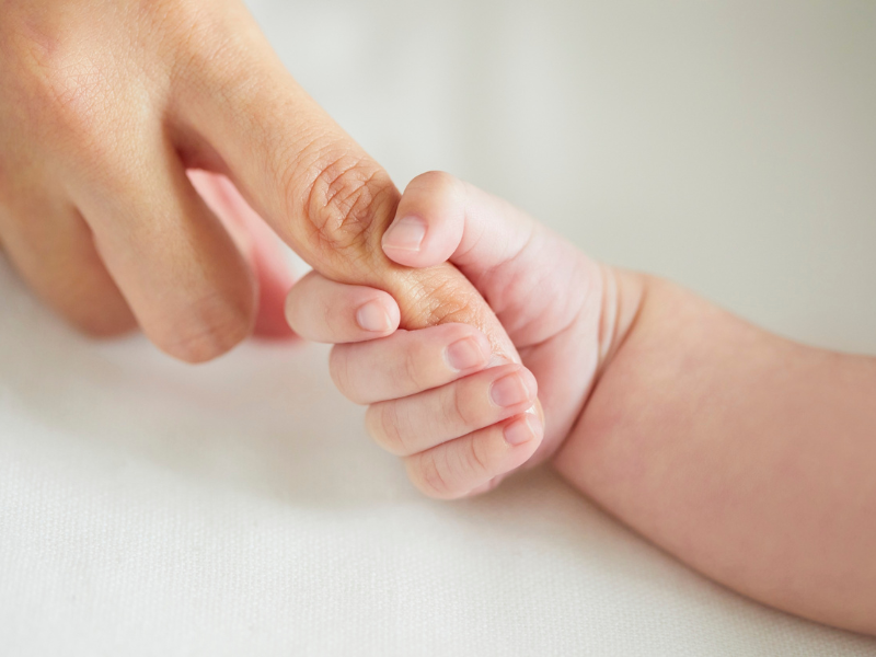 حضانة موني لاند - البيئة وتشكيل الشخصية في الطفولة المبكرة