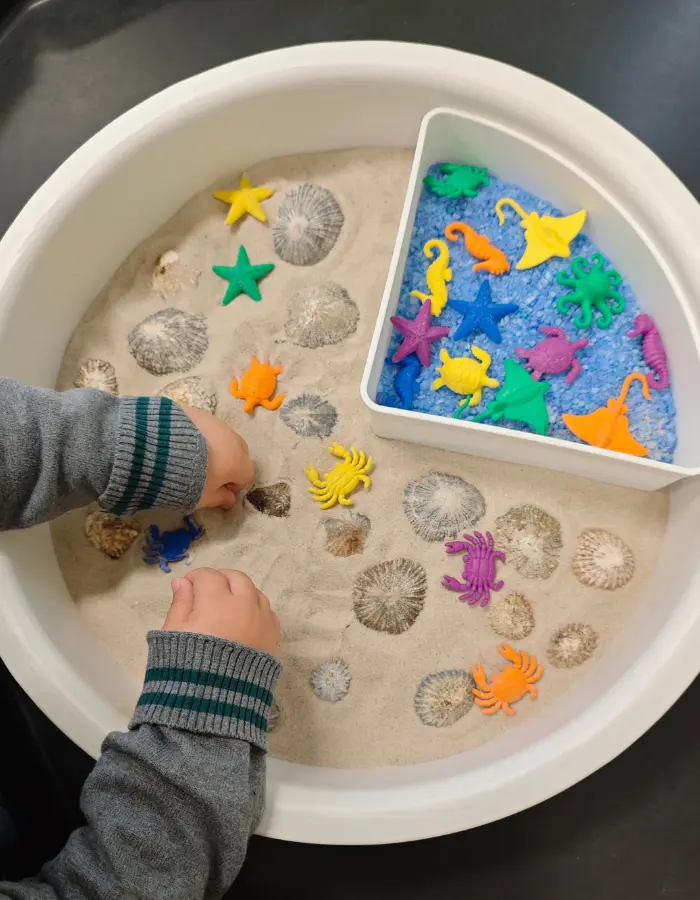 خدمات وبرامج حضانة موني لاند - الرعاية الصحية